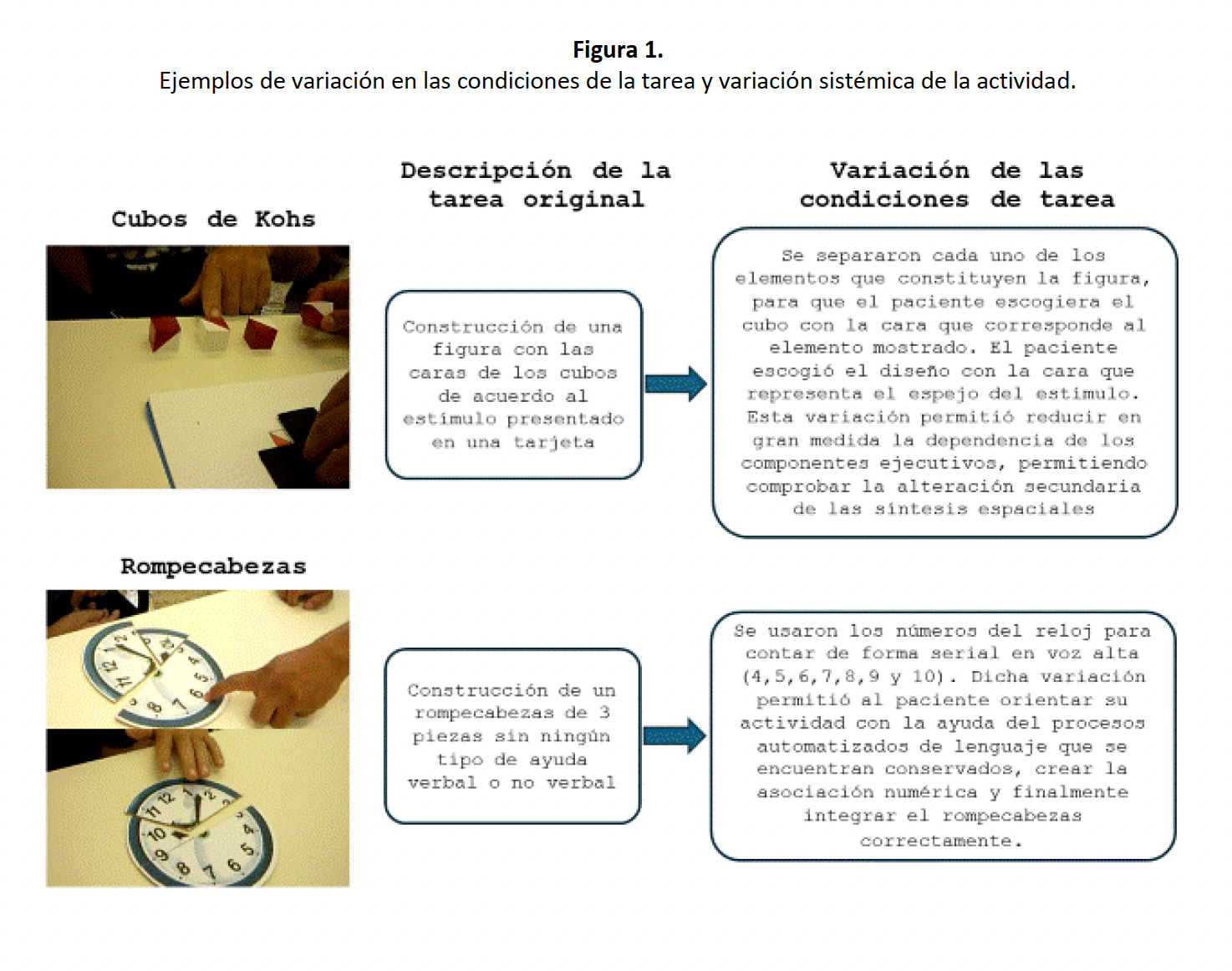 figura 1 del articulo