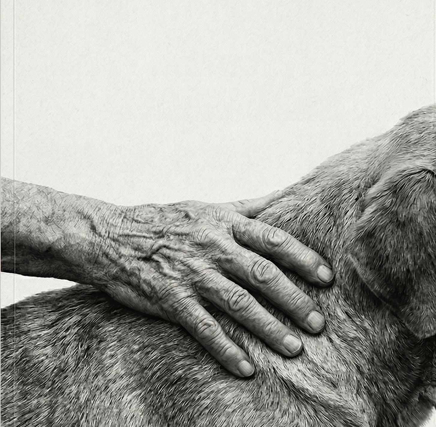 mano y perro